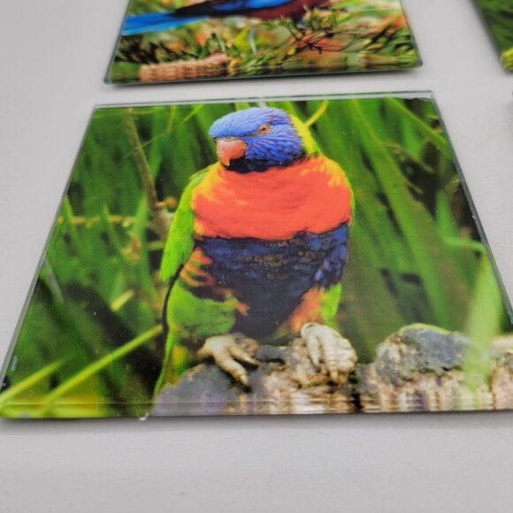 Australian Birds Glass Coasters Colorful Bird Print 4 Inch Get Posh - Picture 5 of 7